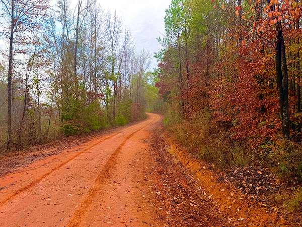 31.4 Acres of Recreational Land for Sale in Thomasville, Alabama
