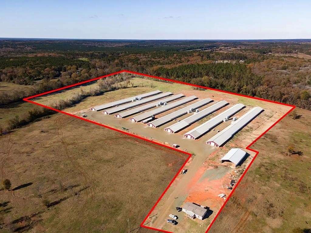 40 Acres of Agricultural Land for Sale in San Augustine, Texas