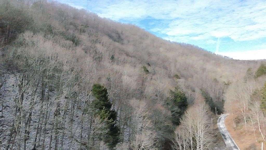 36.4 Acres of Recreational Land for Sale in Chilhowie, Virginia