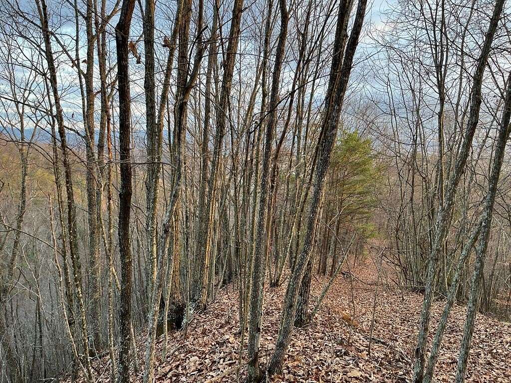36.4 Acres of Recreational Land for Sale in Chilhowie, Virginia