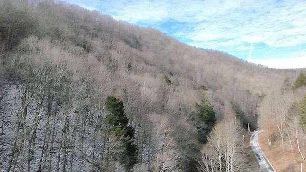 36.4 Acres of Recreational Land for Sale in Chilhowie, Virginia