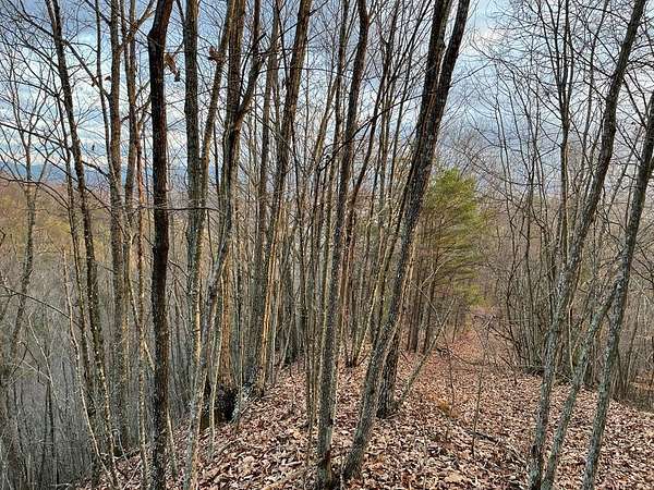 36.4 Acres of Recreational Land for Sale in Chilhowie, Virginia