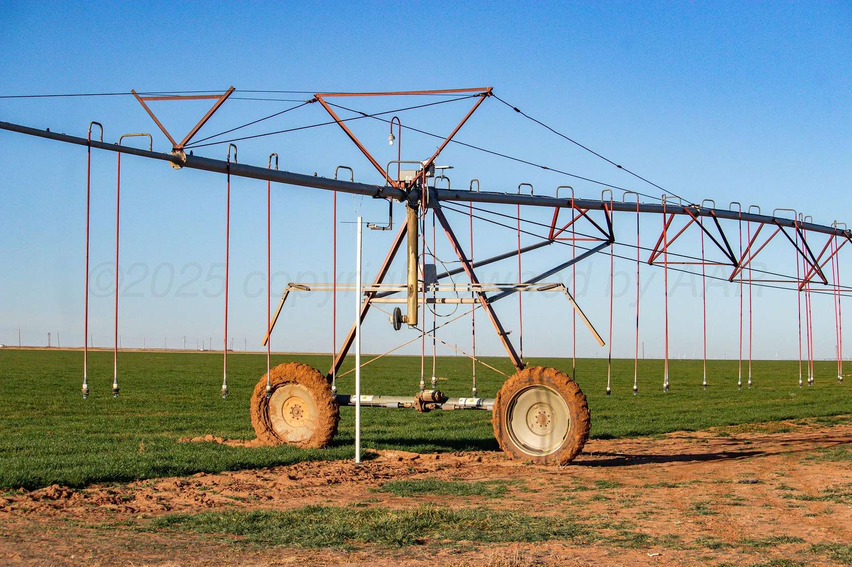 997 Acres of Agricultural Land for Sale in Dimmitt, Texas