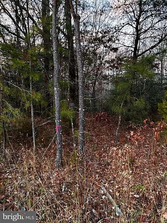 1.5 Acres of Land for Sale in Montross, Virginia