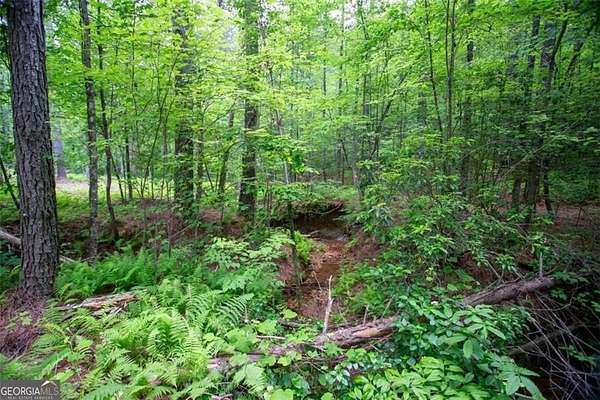 11 Acres of Land for Sale in Dahlonega, Georgia