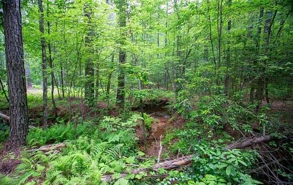 11 Acres of Land for Sale in Dahlonega, Georgia