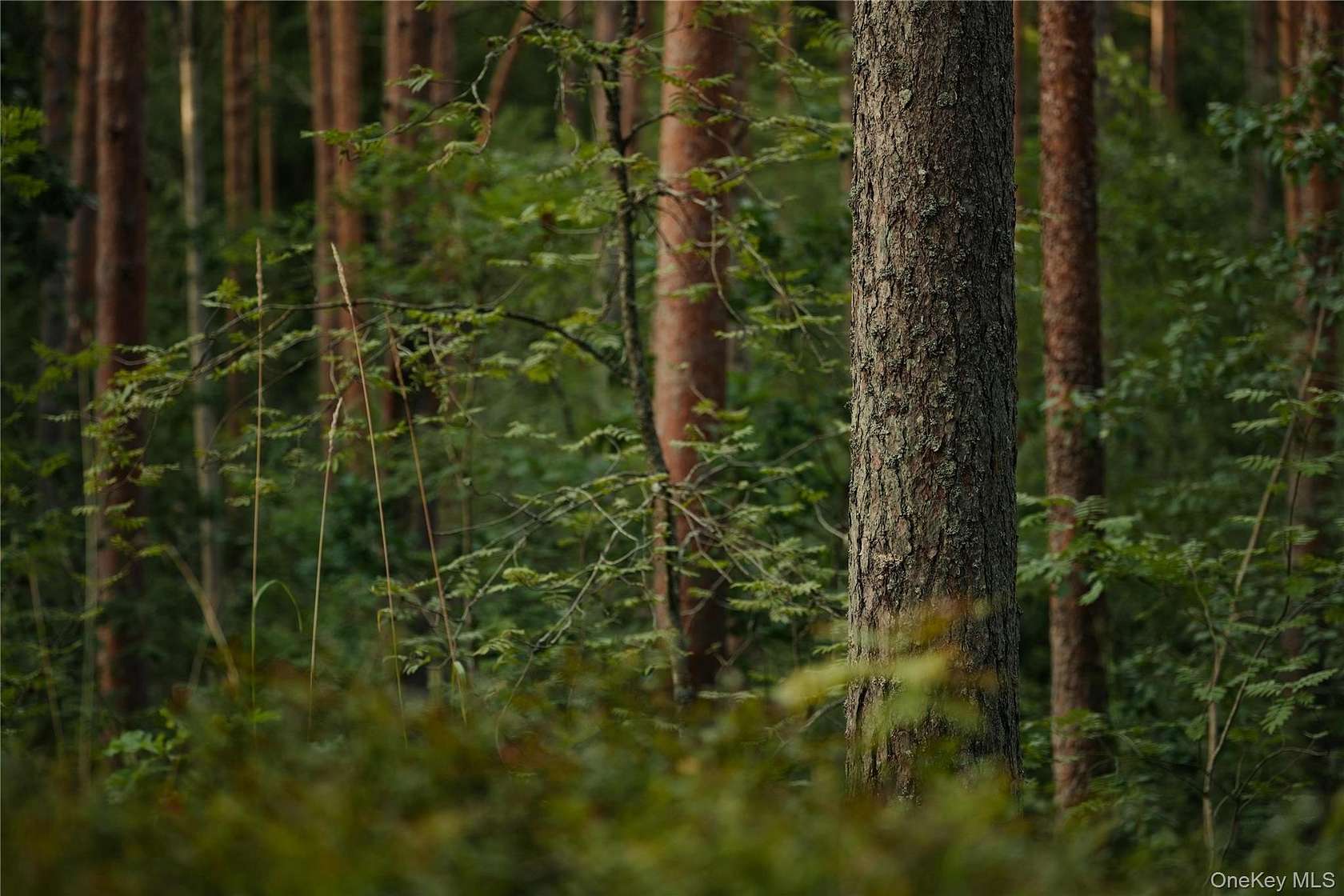 0.68 Acres of Land for Sale in Beacon, New York