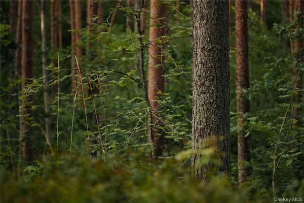 0.68 Acres of Land for Sale in Beacon, New York