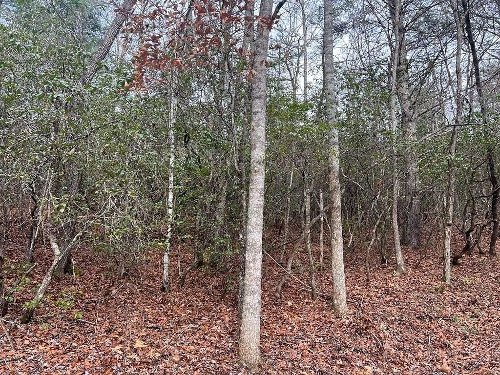 1.36 Acres of Residential Land for Sale in Bryson City, North Carolina