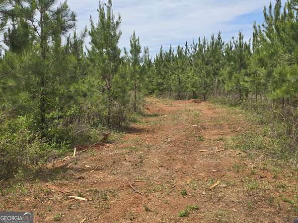 8.76 Acres of Residential Land for Sale in Ellaville, Georgia
