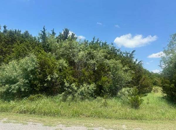 0.53 Acres of Land for Sale in Whitney, Texas