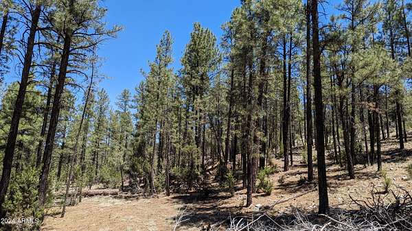 1 Acre of Residential Land for Sale in Overgaard, Arizona