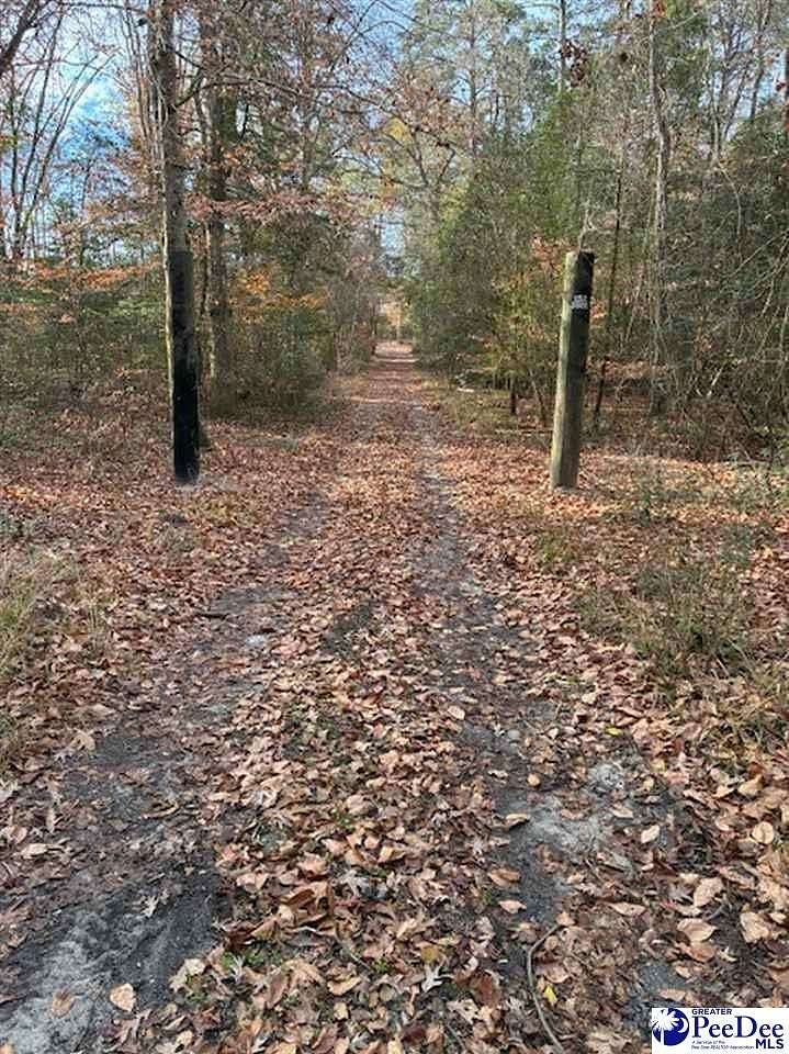 2.17 Acres of Residential Land for Sale in Florence, South Carolina