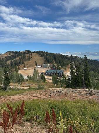 1.54 Acres of Mixed-Use Land for Sale in Eden, Utah