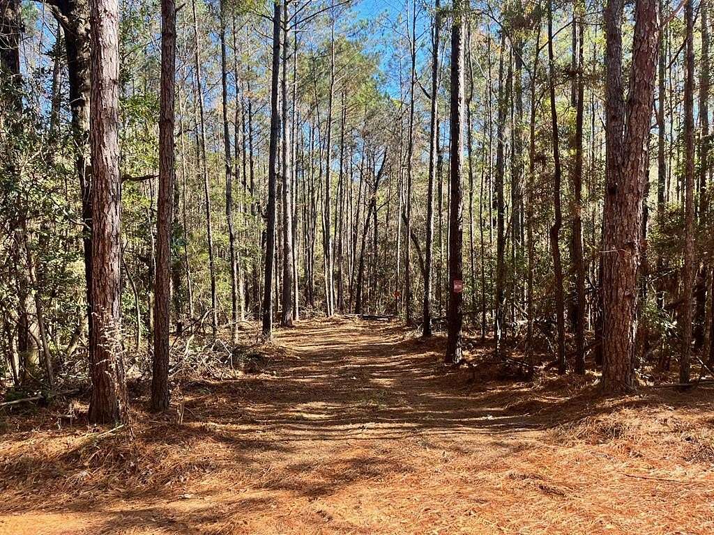 Residential Land for Sale in Abbeville, Alabama