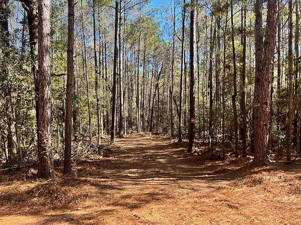 17 Acres of Recreational & Residential Land for Sale in Abbeville, Alabama
