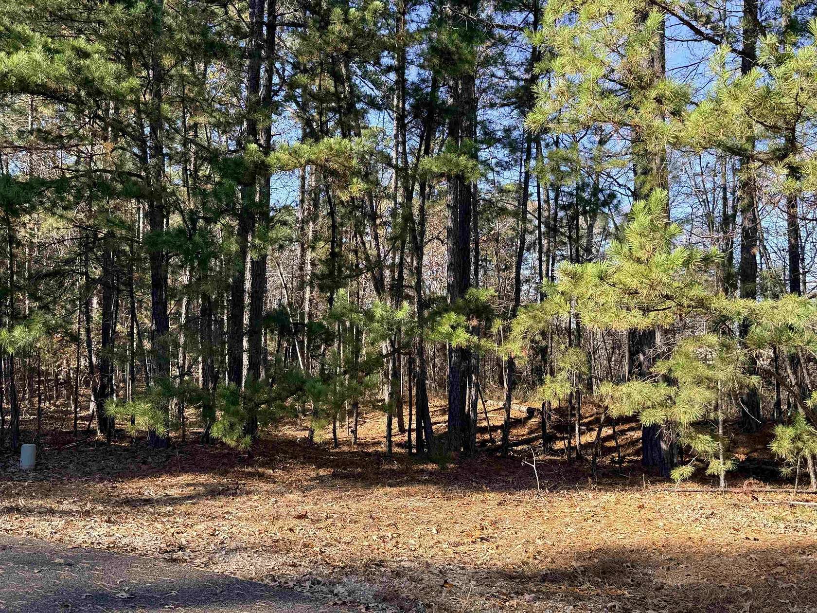 1.55 Acres of Residential Land for Sale in Hot Springs Village, Arkansas