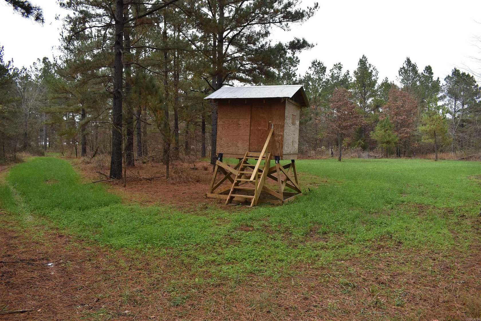 100 Acres of Recreational Land for Sale in Booneville, Arkansas