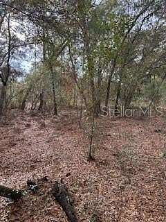 0.21 Acres of Residential Land for Sale in Interlachen, Florida