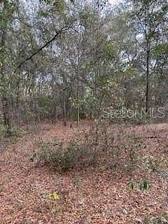 0.21 Acres of Residential Land for Sale in Interlachen, Florida