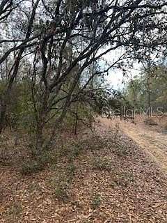 0.21 Acres of Residential Land for Sale in Interlachen, Florida