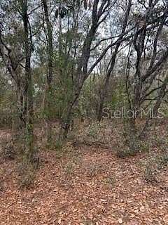 0.21 Acres of Residential Land for Sale in Interlachen, Florida