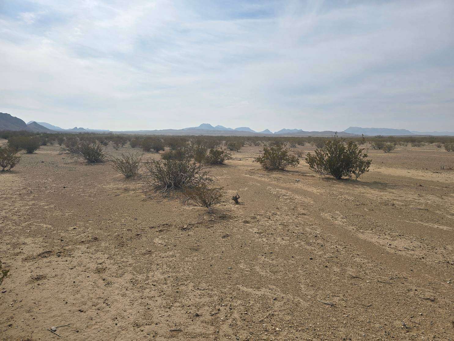 20 Acres of Land for Sale in Alpine, Texas