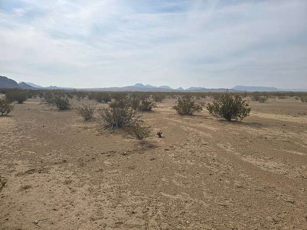 20 Acres of Land for Sale in Alpine, Texas