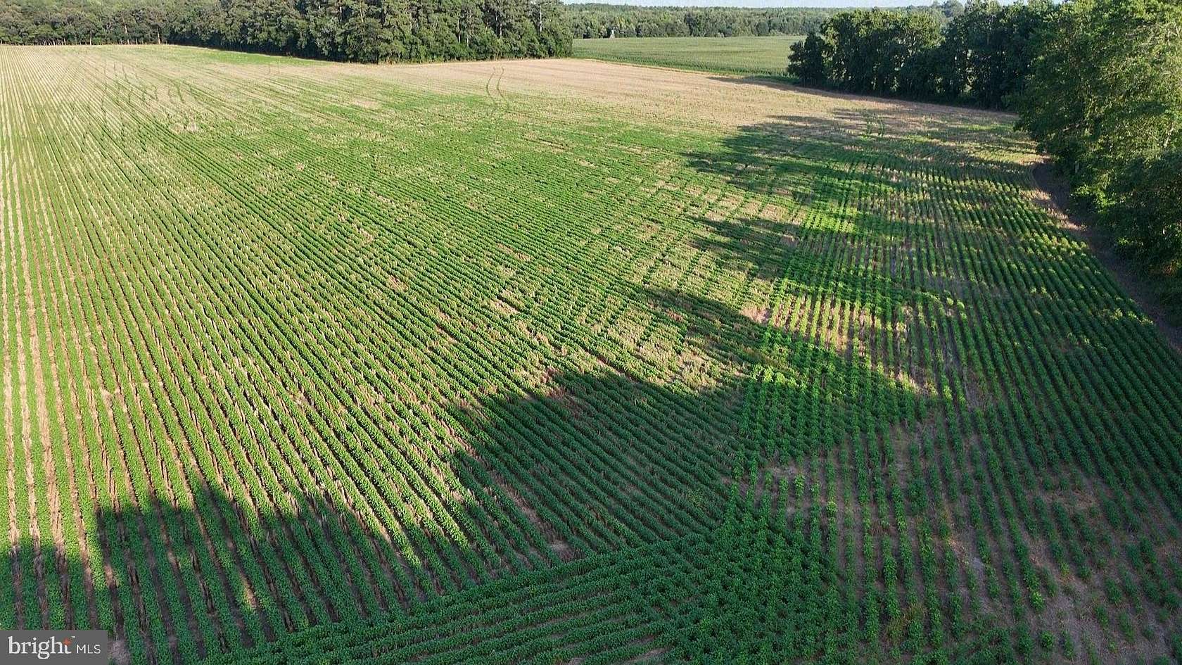 1.69 Acres of Land for Sale in Bridgeville, Delaware