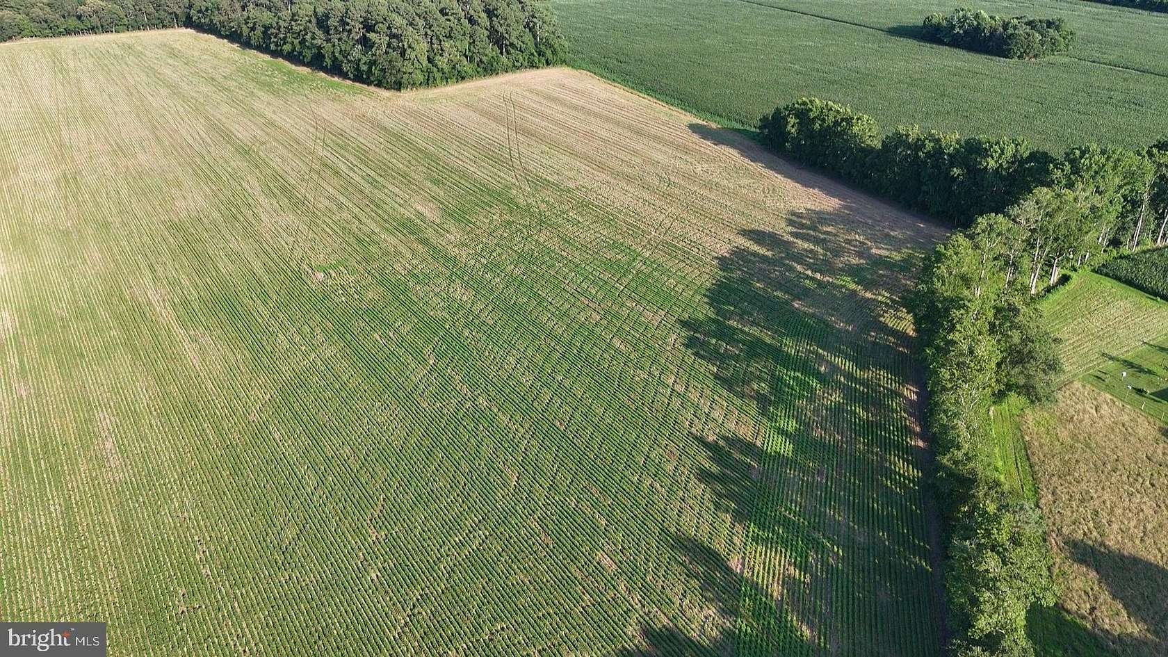 1.52 Acres of Residential Land for Sale in Bridgeville, Delaware