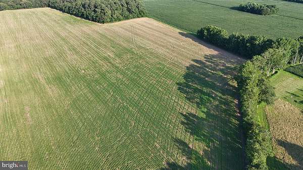 1.52 Acres of Residential Land for Sale in Bridgeville, Delaware