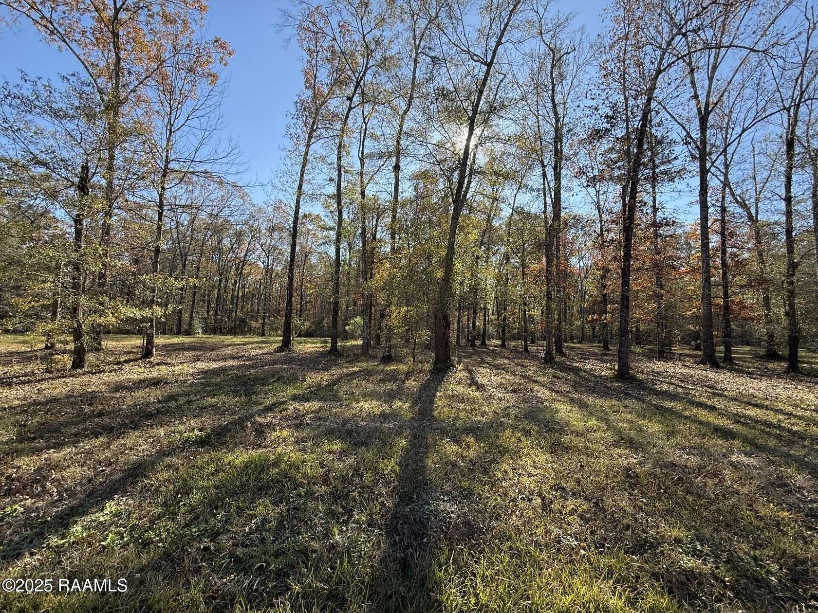 3 Acres of Residential Land for Sale in Ville Platte, Louisiana