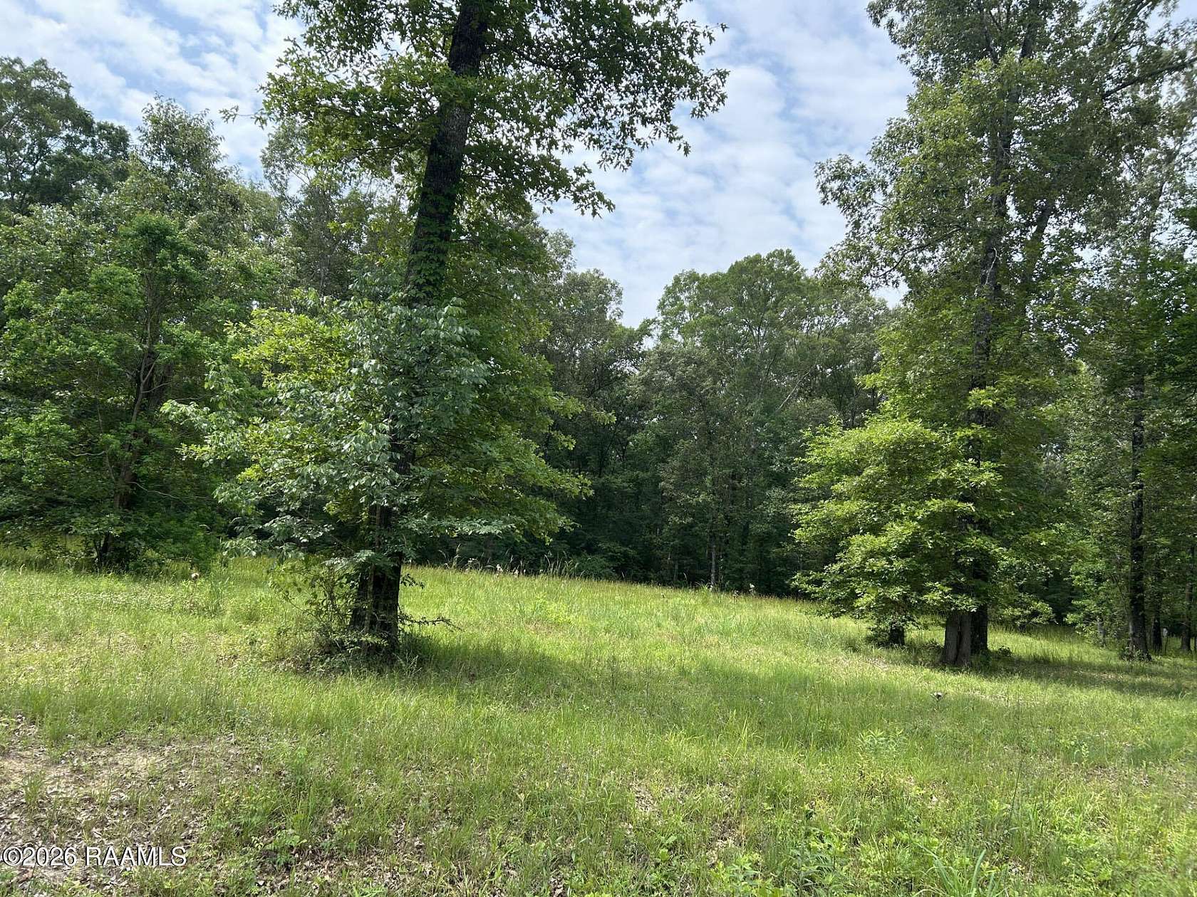 3 Acres of Residential Land for Sale in Ville Platte, Louisiana