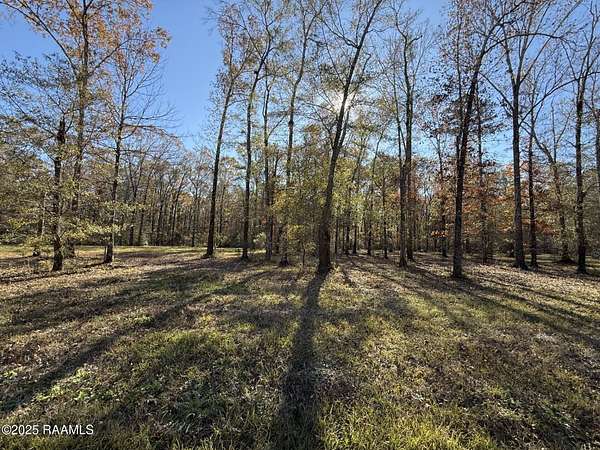 3 Acres of Residential Land for Sale in Ville Platte, Louisiana