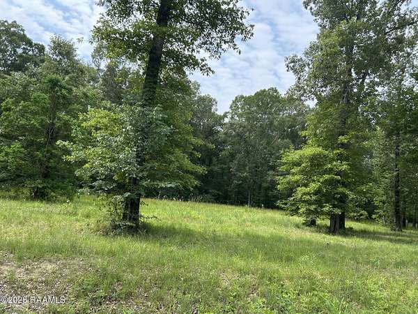 3 Acres of Residential Land for Sale in Ville Platte, Louisiana