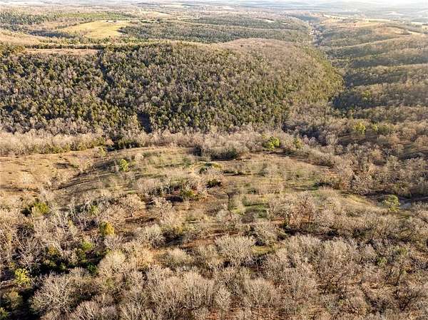 98.5 Acres of Land for Sale in Omaha, Arkansas