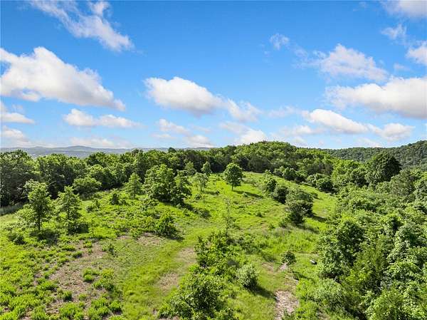 98.5 Acres of Recreational & Residential Land for Sale in Omaha, Arkansas