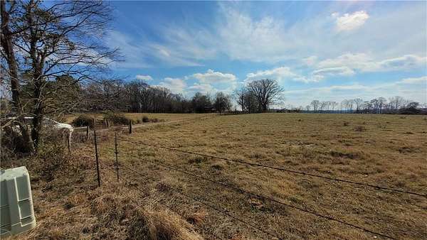 30 Acres of Agricultural Land for Sale in Carnesville, Georgia