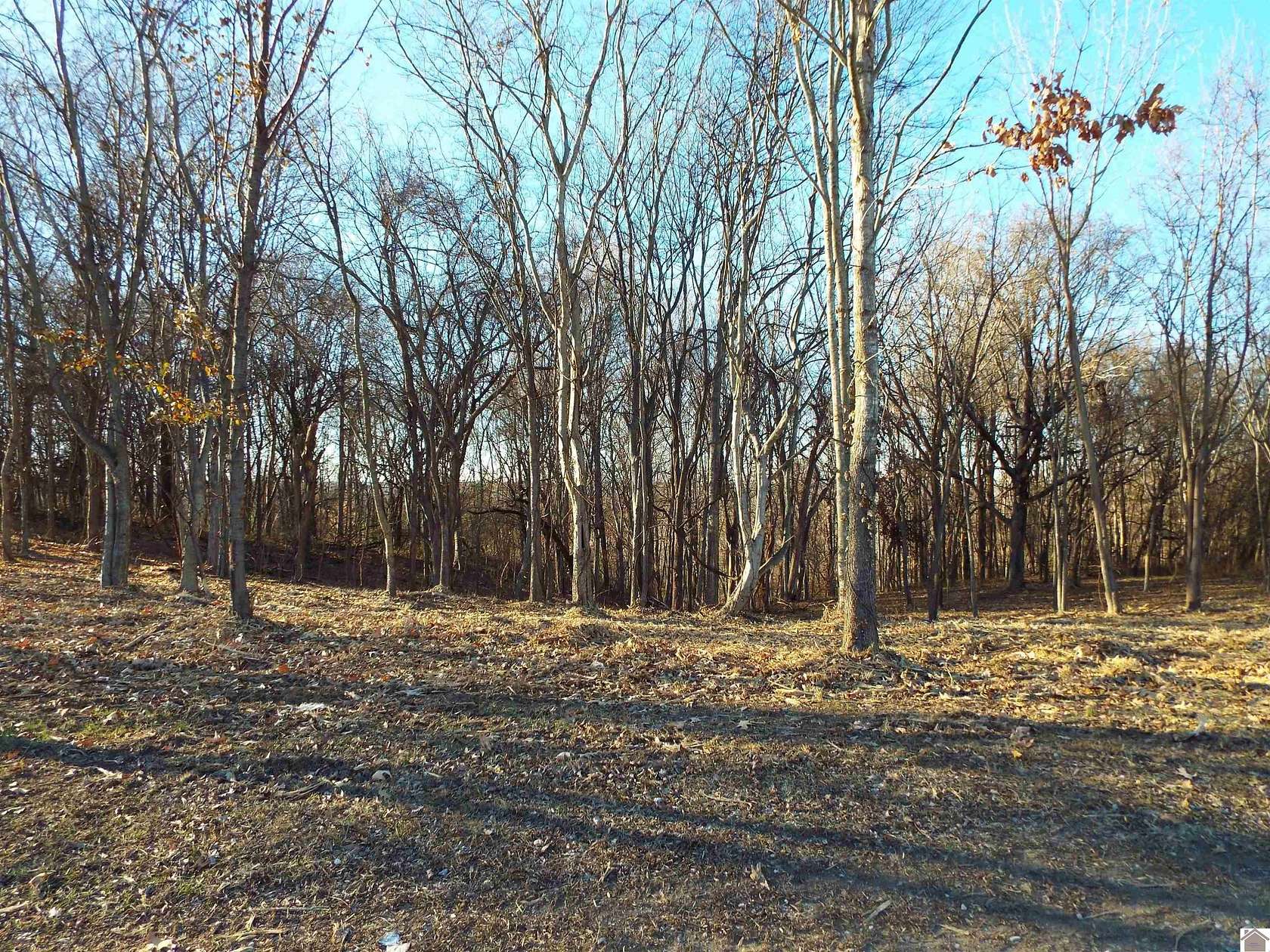 4.2 Acres of Residential Land for Sale in Hardin, Kentucky
