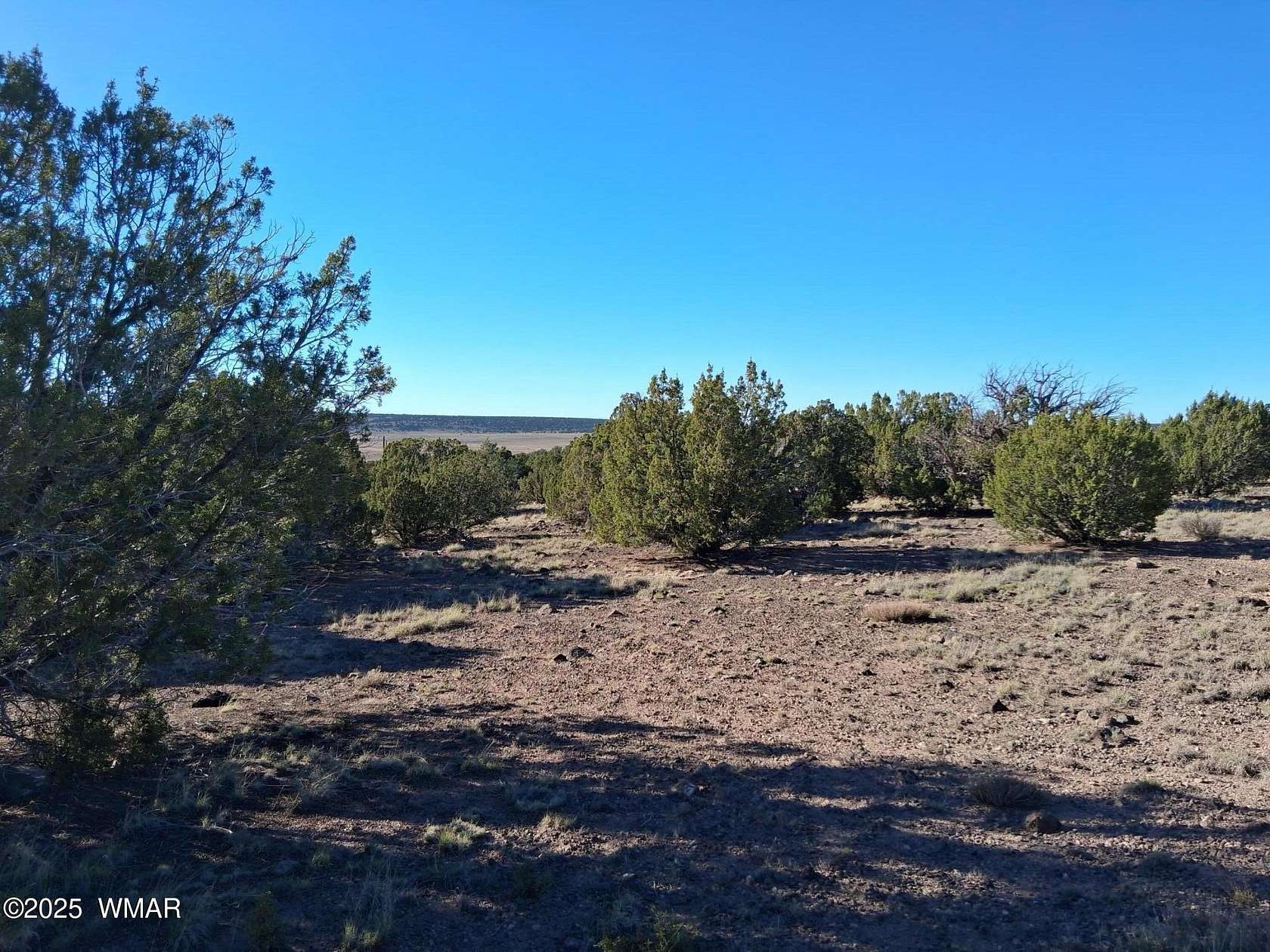 5.22 Acres of Land for Sale in Concho, Arizona