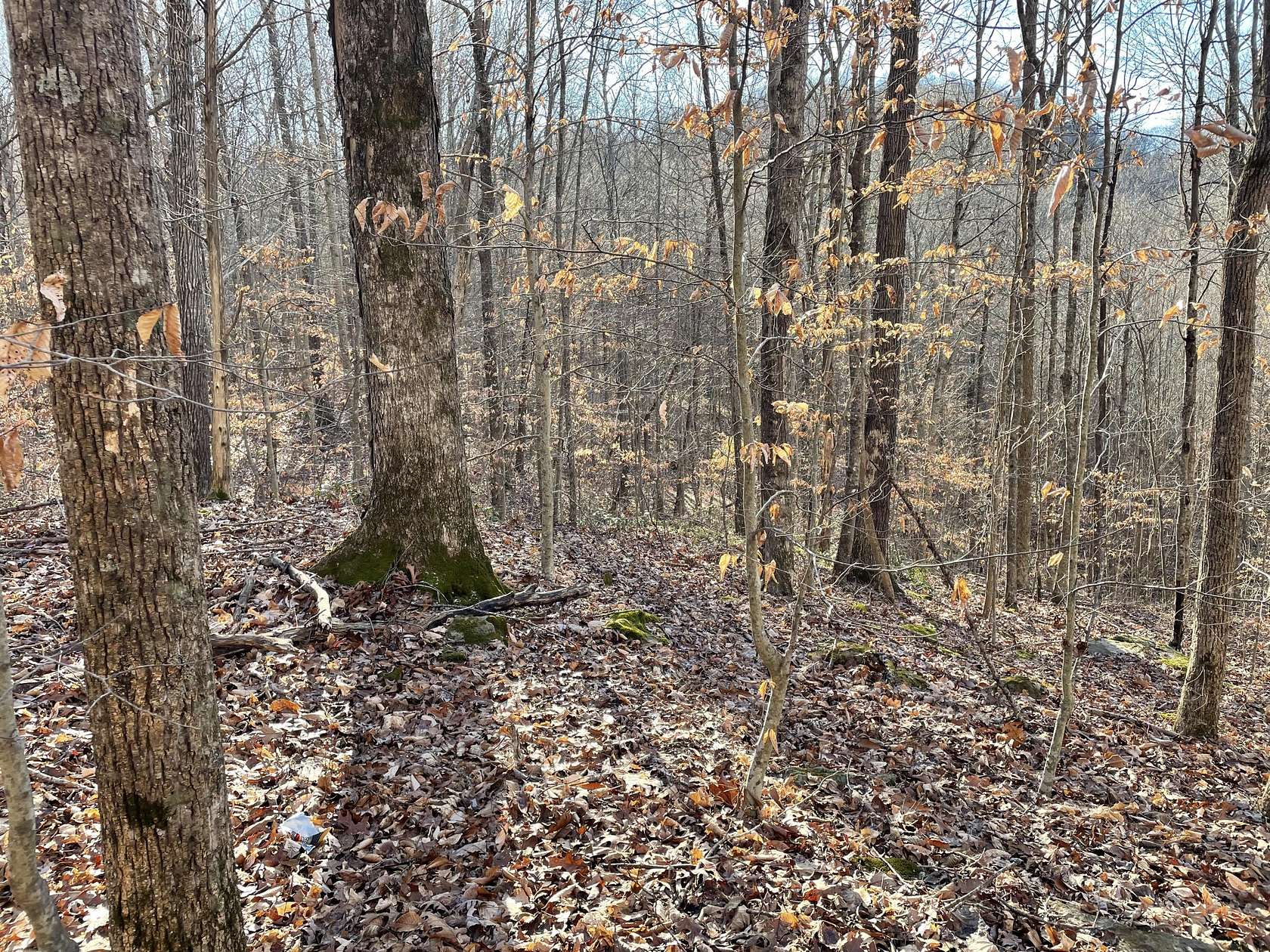 13.4 Acres of Recreational Land for Sale in Burnside, Kentucky