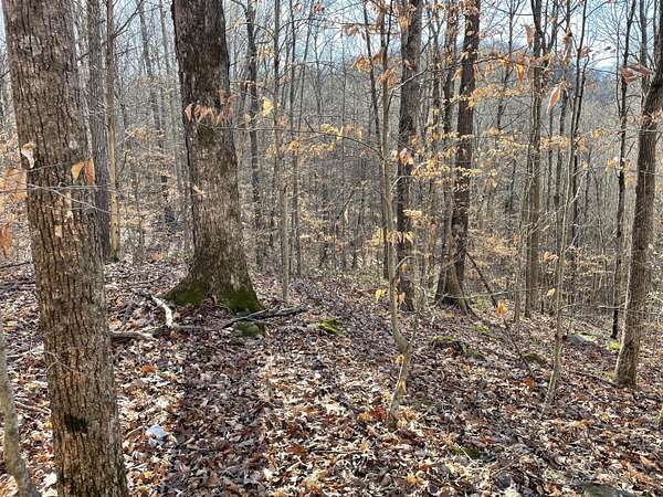 13.4 Acres of Recreational Land for Sale in Burnside, Kentucky