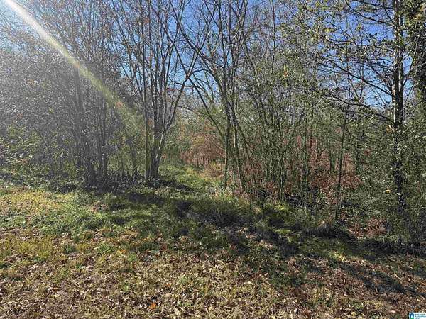 6.65 Acres of Land for Sale in Anniston, Alabama