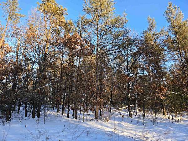 4.36 Acres of Residential Land for Sale in Necedah, Wisconsin