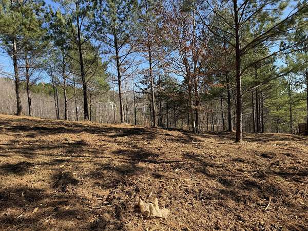 0.7 Acres of Residential Land for Auction in Flintstone, Georgia