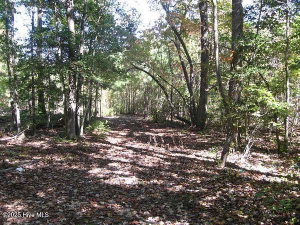 10 Acres of Land for Sale in Carthage, North Carolina