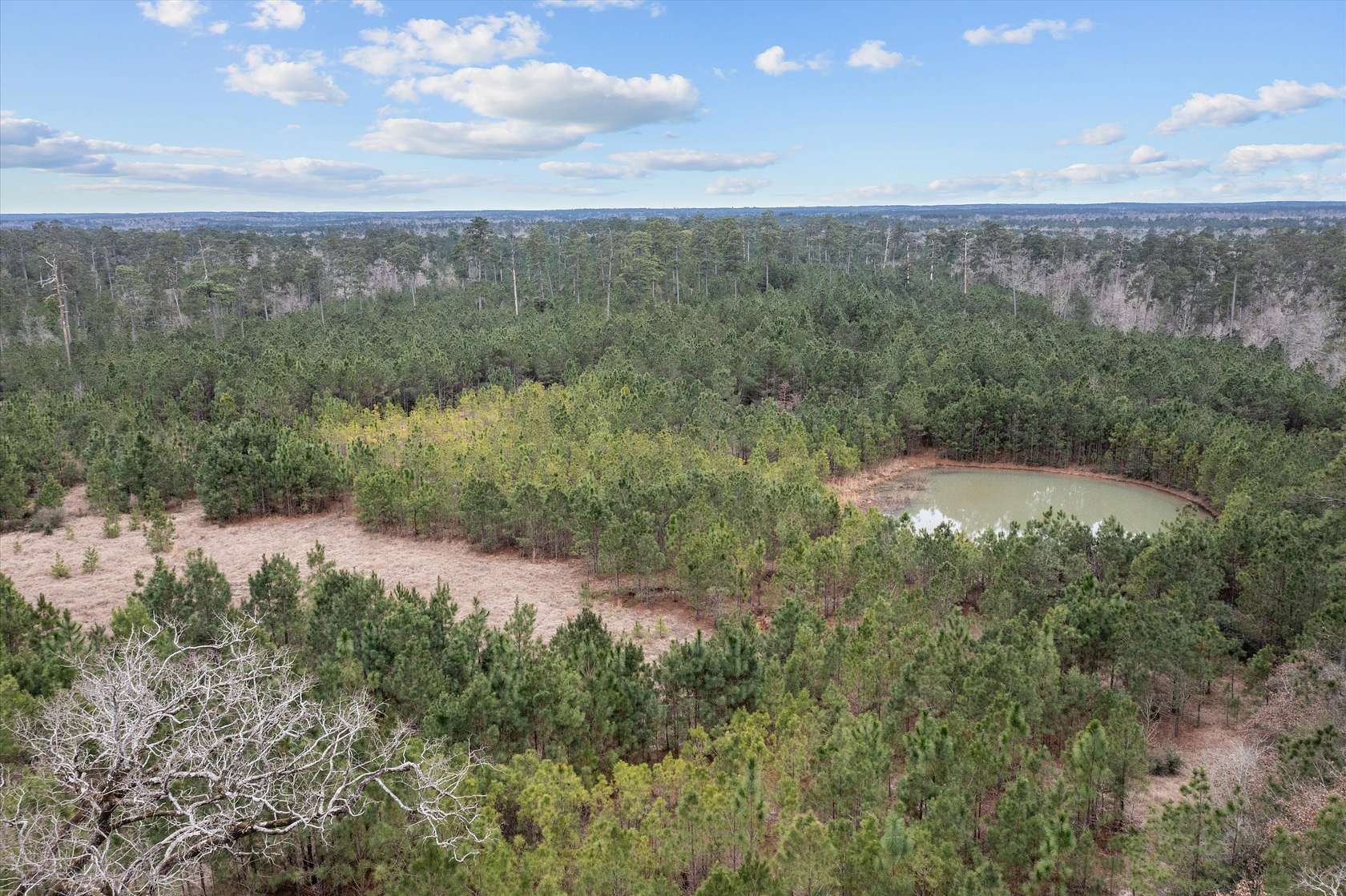 210 Acres of Recreational Land for Sale in Corrigan, Texas