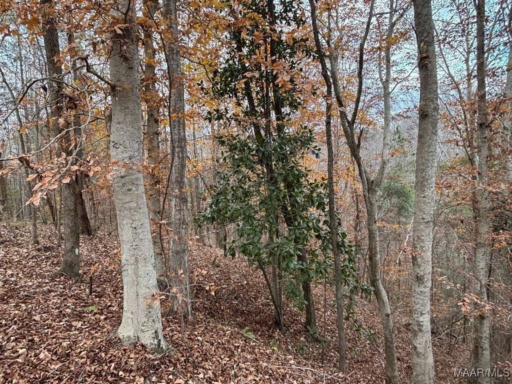 18 Acres of Recreational Land for Sale in Greenville, Alabama