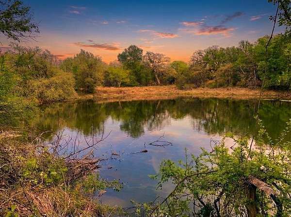 4 Acres of Land for Sale in Nemo, Texas