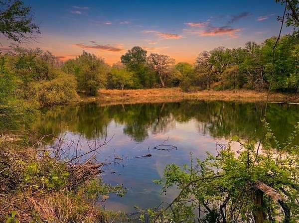 4 Acres of Residential Land for Sale in Nemo, Texas